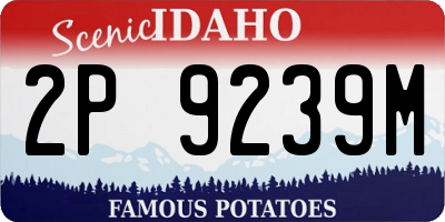 ID license plate 2P9239M