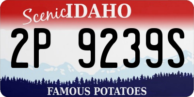 ID license plate 2P9239S