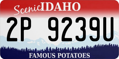 ID license plate 2P9239U