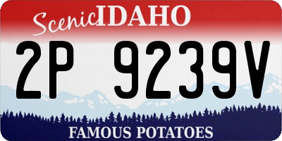 ID license plate 2P9239V