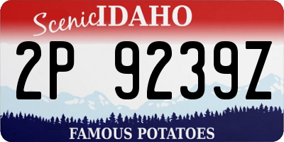 ID license plate 2P9239Z