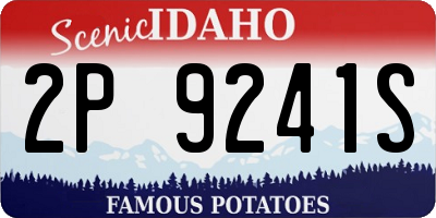 ID license plate 2P9241S
