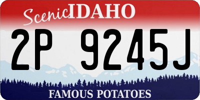 ID license plate 2P9245J