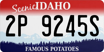 ID license plate 2P9245S