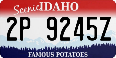 ID license plate 2P9245Z