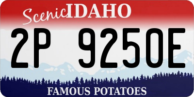 ID license plate 2P9250E
