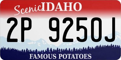 ID license plate 2P9250J