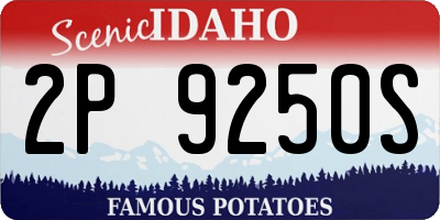 ID license plate 2P9250S