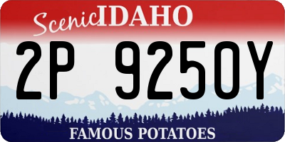 ID license plate 2P9250Y