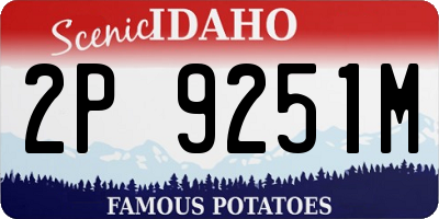 ID license plate 2P9251M