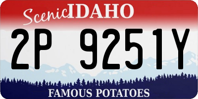 ID license plate 2P9251Y