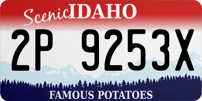 ID license plate 2P9253X