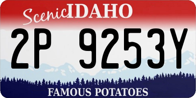 ID license plate 2P9253Y