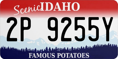 ID license plate 2P9255Y