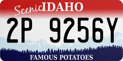 ID license plate 2P9256Y