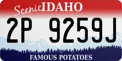 ID license plate 2P9259J