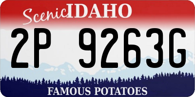 ID license plate 2P9263G