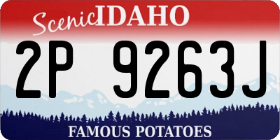 ID license plate 2P9263J