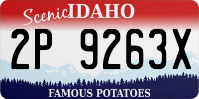 ID license plate 2P9263X