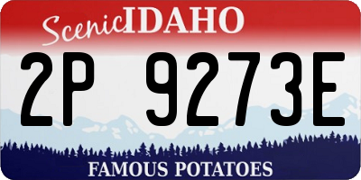 ID license plate 2P9273E