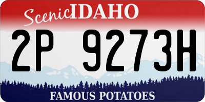 ID license plate 2P9273H