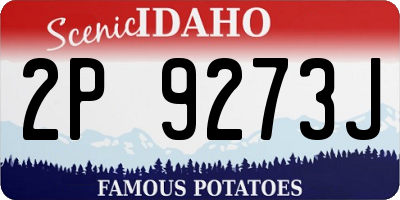 ID license plate 2P9273J