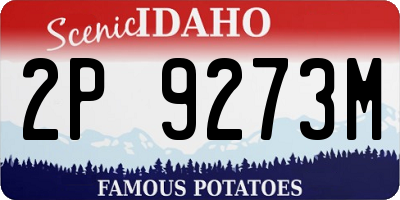ID license plate 2P9273M