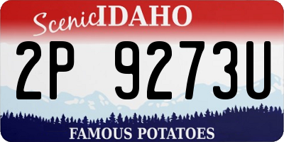 ID license plate 2P9273U
