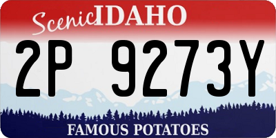 ID license plate 2P9273Y