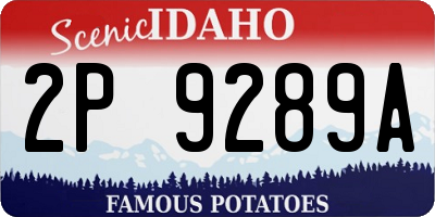 ID license plate 2P9289A
