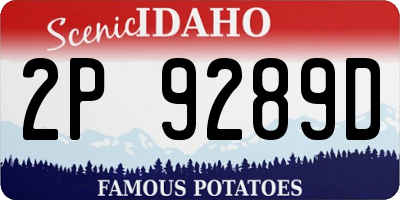 ID license plate 2P9289D