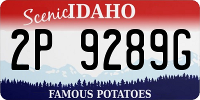 ID license plate 2P9289G