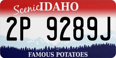 ID license plate 2P9289J