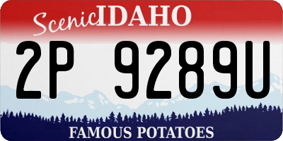 ID license plate 2P9289U