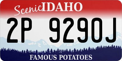 ID license plate 2P9290J
