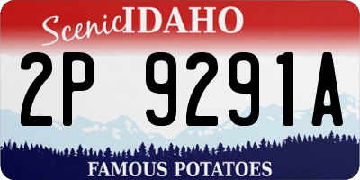ID license plate 2P9291A