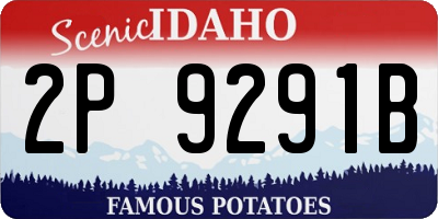 ID license plate 2P9291B