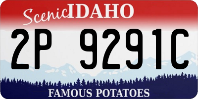 ID license plate 2P9291C