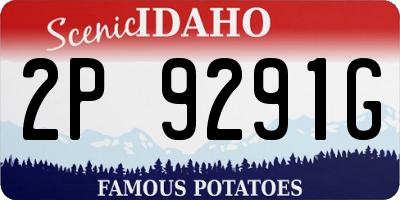 ID license plate 2P9291G