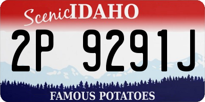 ID license plate 2P9291J