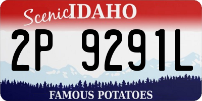 ID license plate 2P9291L