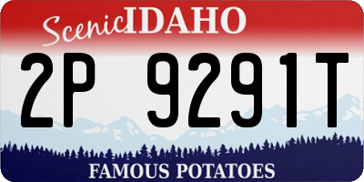 ID license plate 2P9291T