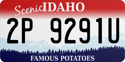 ID license plate 2P9291U