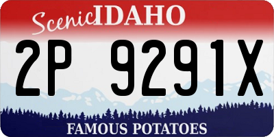 ID license plate 2P9291X
