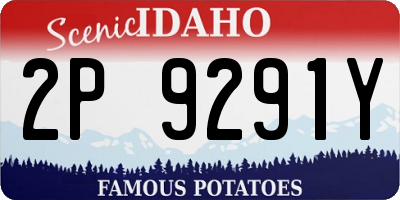 ID license plate 2P9291Y