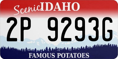 ID license plate 2P9293G