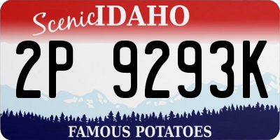 ID license plate 2P9293K