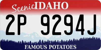 ID license plate 2P9294J