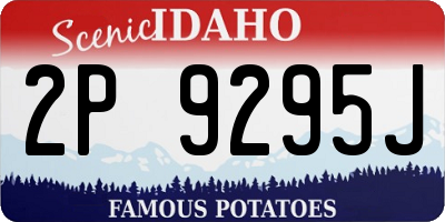 ID license plate 2P9295J