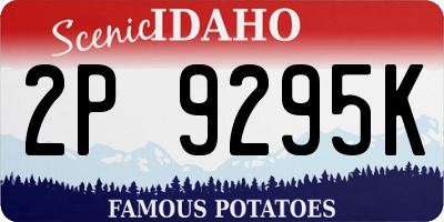 ID license plate 2P9295K